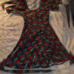 LuLaRoe XL Nicole